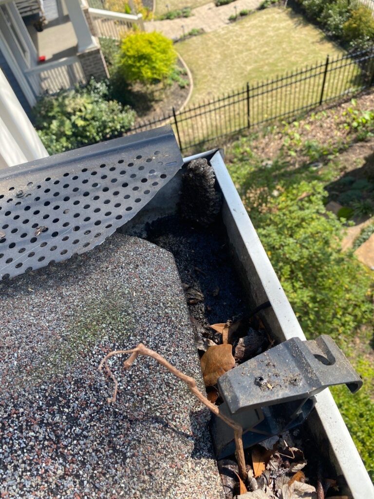 Gutter Guard / Screen Removal