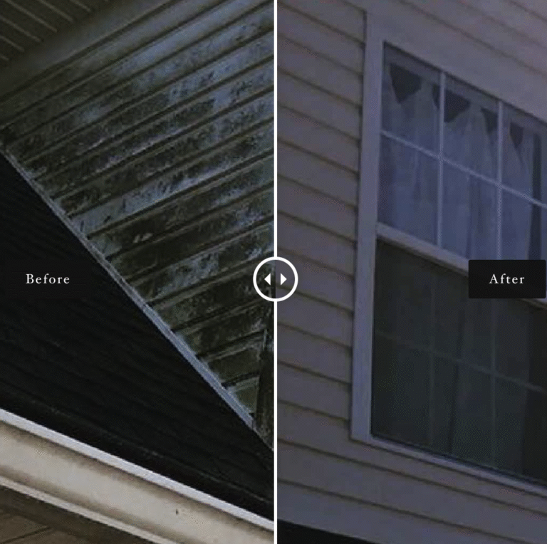 Before & After Siding Cleaning