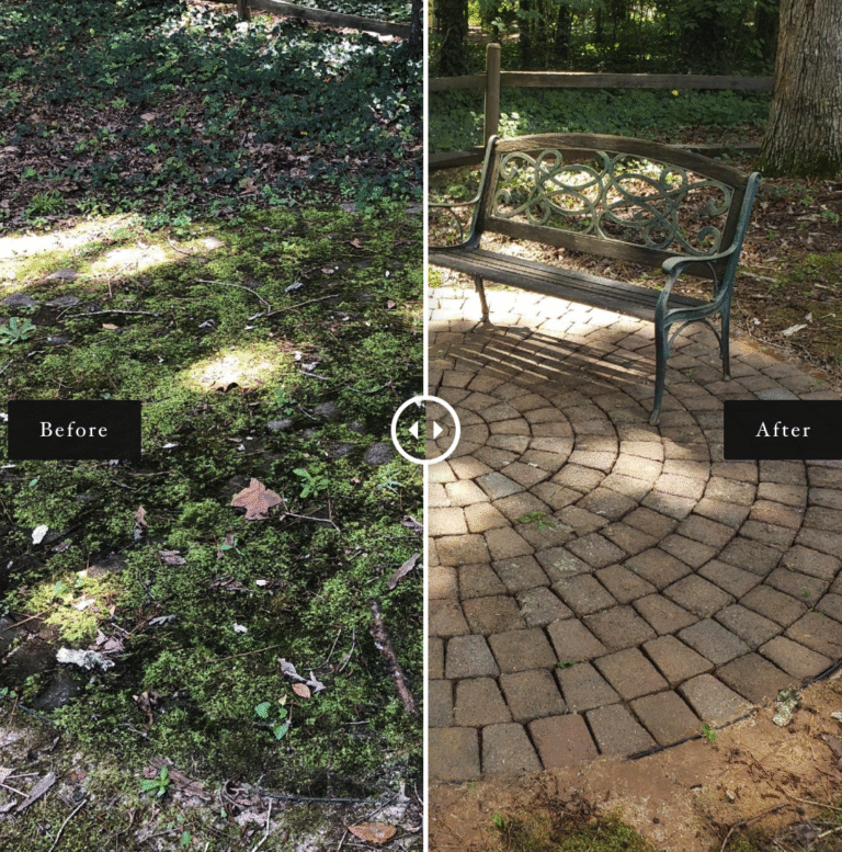 Removing Moss